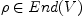 \rho \in End(V)