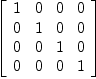 
\label{eq65}\left[ 
\begin{array}{cccc}
1 & 0 & 0 & 0 
\
0 & 1 & 0 & 0 
\
0 & 0 & 1 & 0 
\
0 & 0 & 0 & 1 
