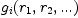 g_i(r_1,r_2, ...)