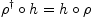 
\rho^\dagger \circ h = h \circ \rho
