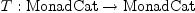 
  T:\textrm{MonadCat} \to \textrm{MonadCat}
