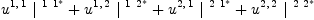 
\label{eq25}{{u^{1, \: 1}}\ {|^{\  1 \ {1_{\ }^{<em>}}}}}+{{u^{1, \: 2}}\ {|^{\  1 \ {2_{\ }^{</em>}}}}}+{{u^{2, \: 1}}\ {|^{\  2 \ {1_{\ }^{<em>}}}}}+{{u^{2, \: 2}}\ {|^{\  2 \ {2_{\ }^{</em>}}}}}