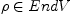 ρ \in End V